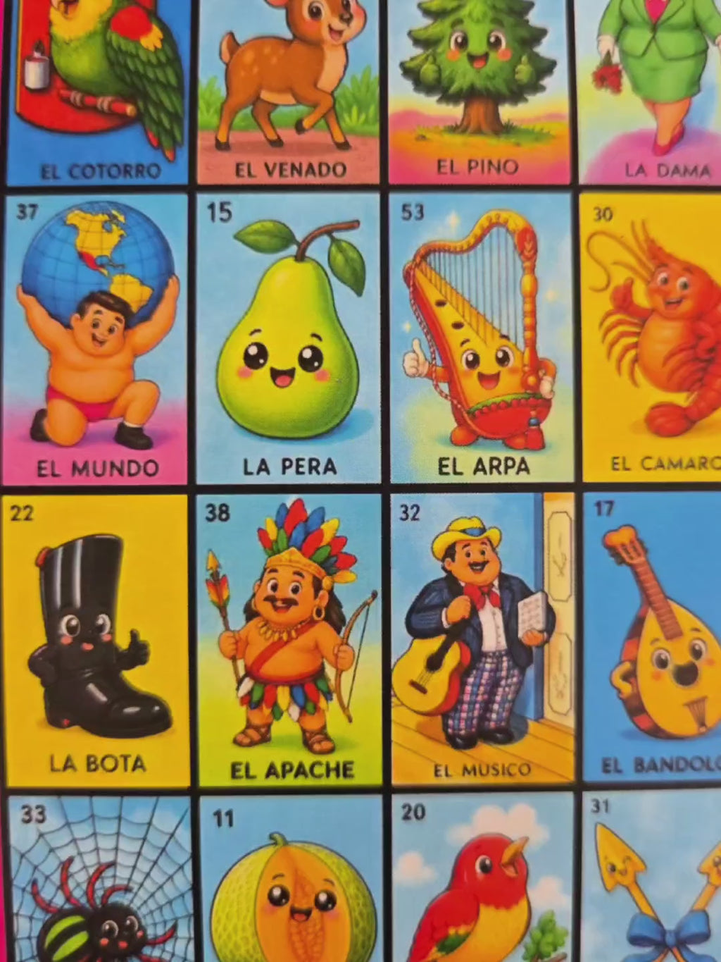 20 Chubby/Gorditos Cards