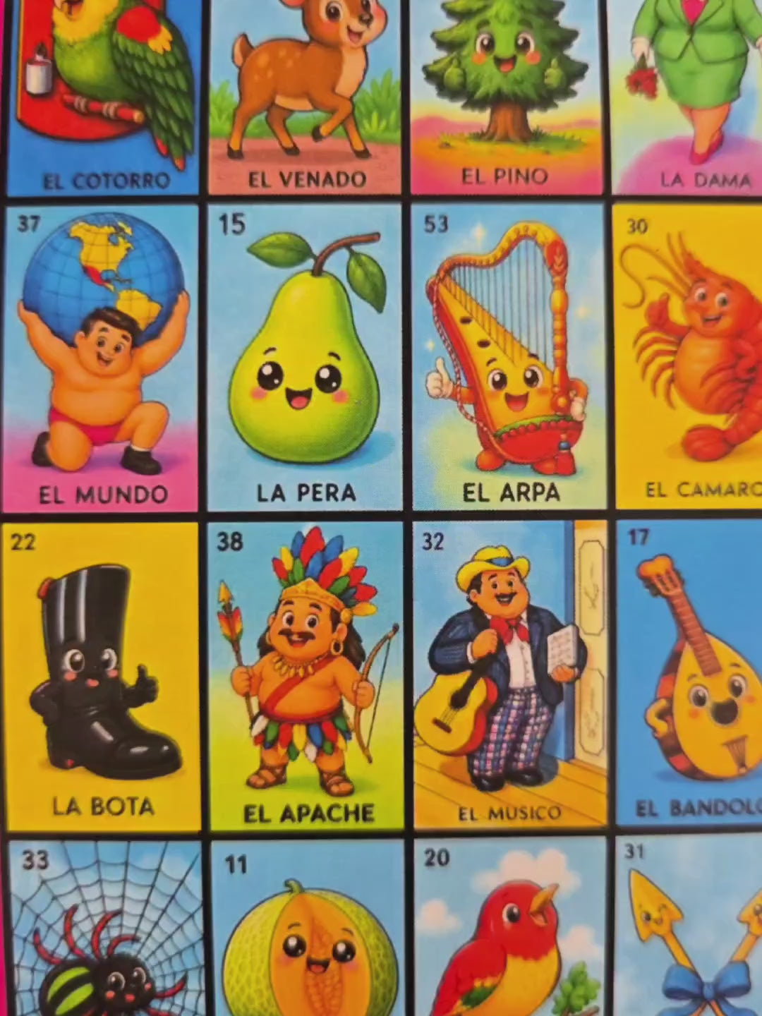 20 Chubby/Gorditos Cards